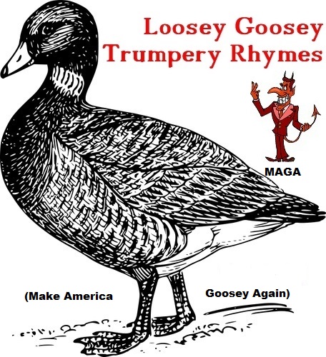 LooseyGoosey 7-22-2017 5-00-17 PM.jpg