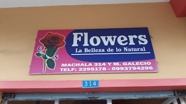 FLORERIA FLOWERS AQ - Guayaquil