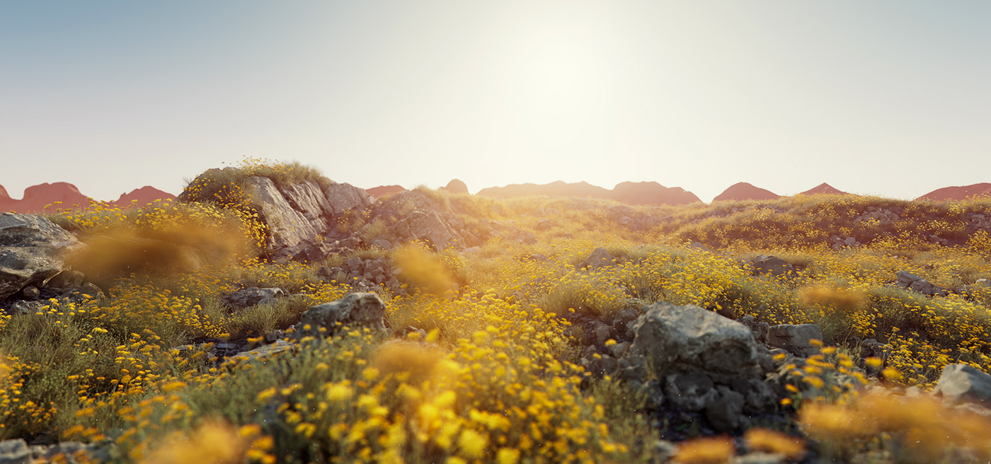 beauty Fashion  Flowers Landscape light Photography  yellow