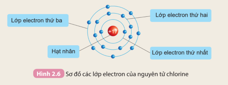 Câu hỏi trang 18 SGK TN&XH 7 KNTT tập 1