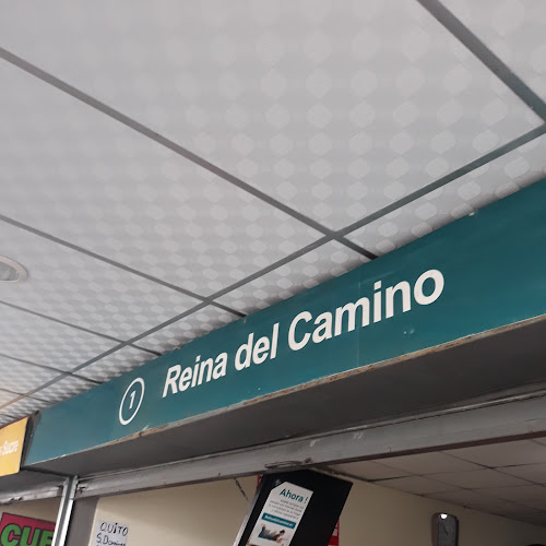 Reina del Camino