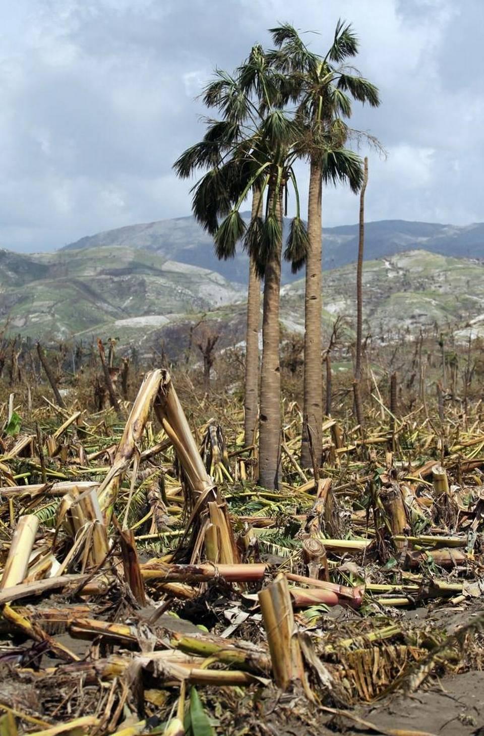 Port Salut, Haiti, on Oct. 9, 2016, after Hurricane Matthew.