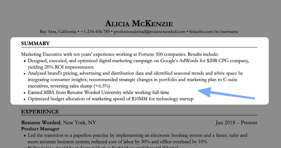 Example of resume opening statement