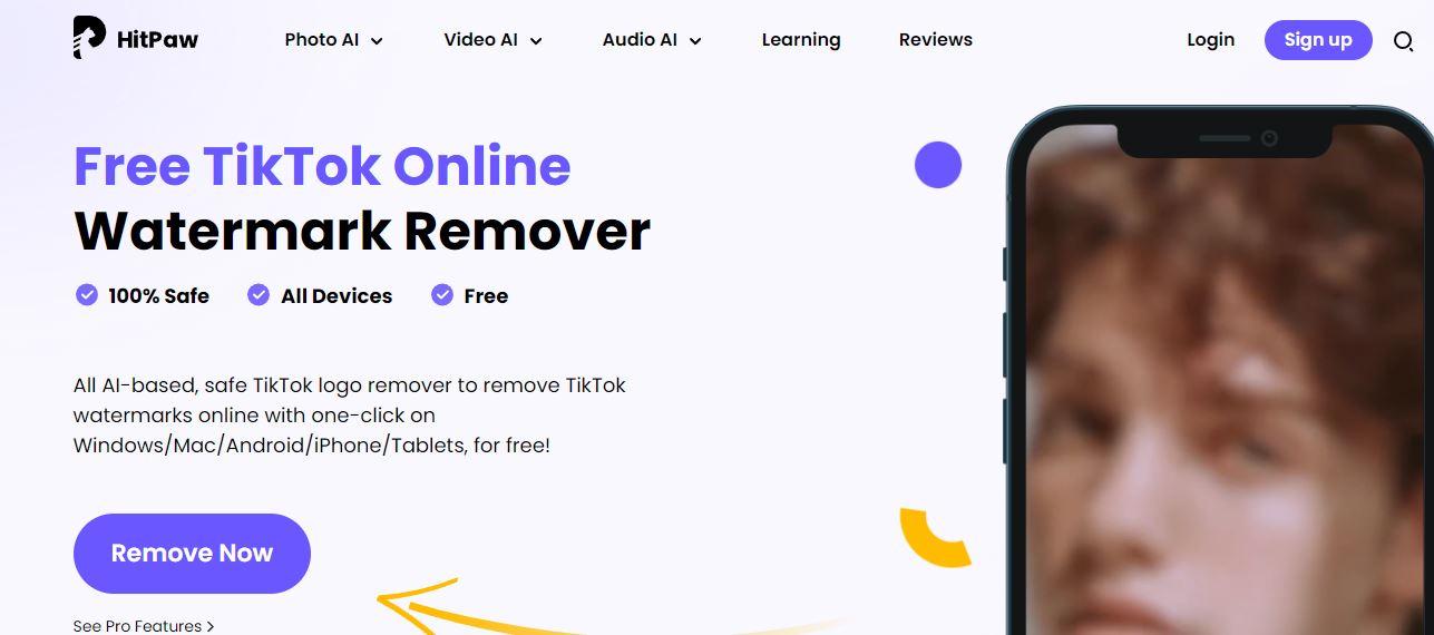 Tiktok video watermark remove online