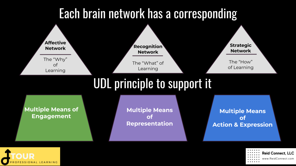 The UDL principles and their corresponding learning networks.