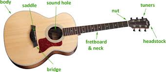 Image result for labelled diagram of an acoustic guitar