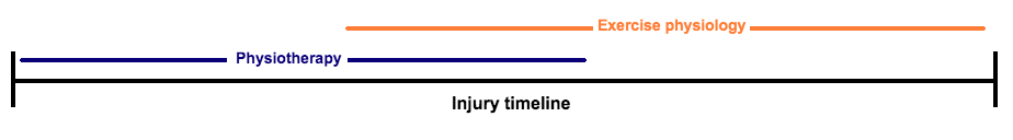 A timeline showing when a physio and an exercise physiologist is most appropriate