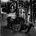  STEP UP YOUR WORKOUT PLAN WITH HIGH-INTENSITY INTERVAL TRAINING (HIIT)