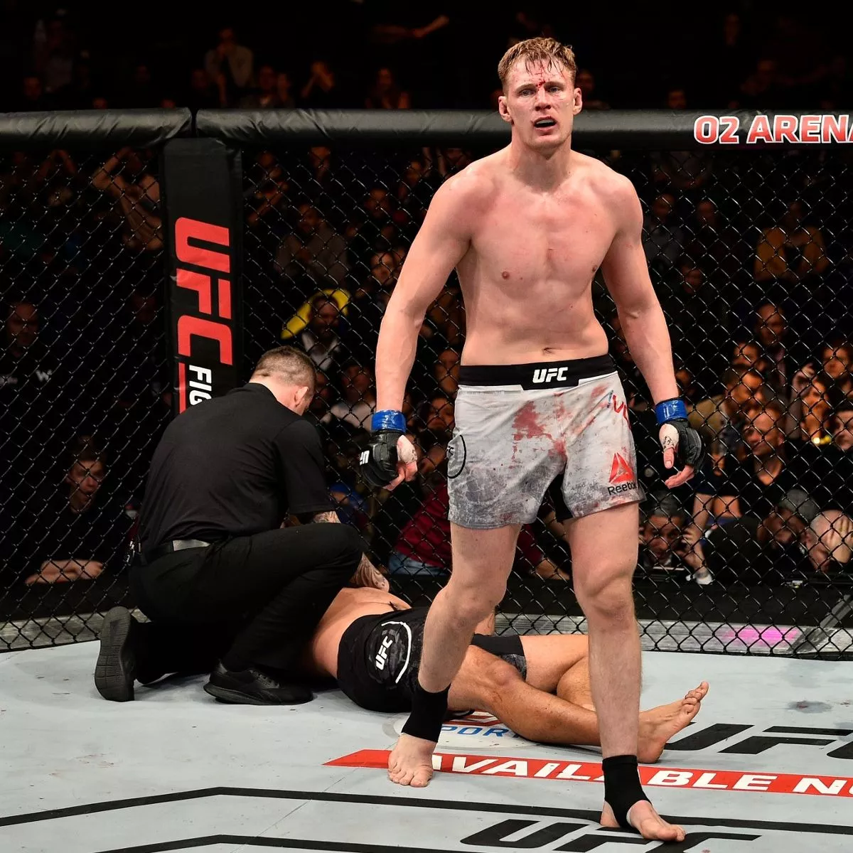 18 Tallest MMA Fighters in History (Updated 2023)