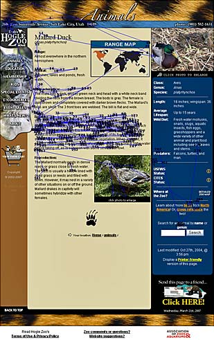 paragraph-fully-read-eyetracking.jpg