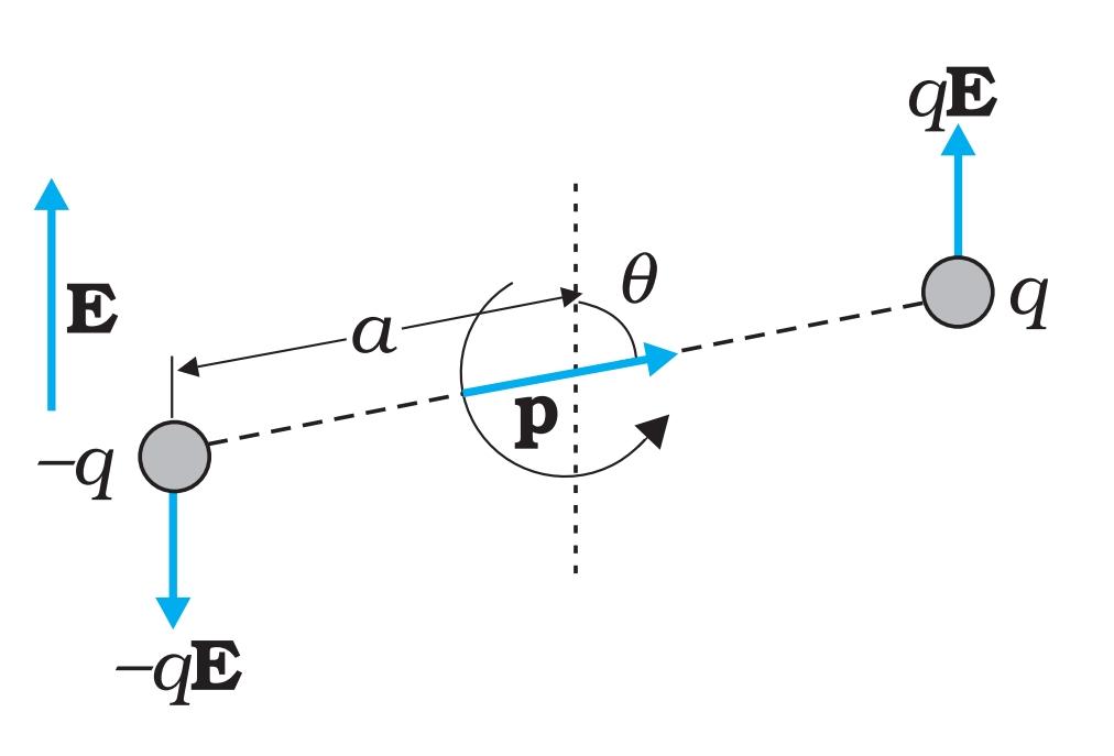Torque on a Dipole in Uniform Electric Field