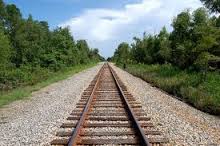 Image result for parallel lines in real life