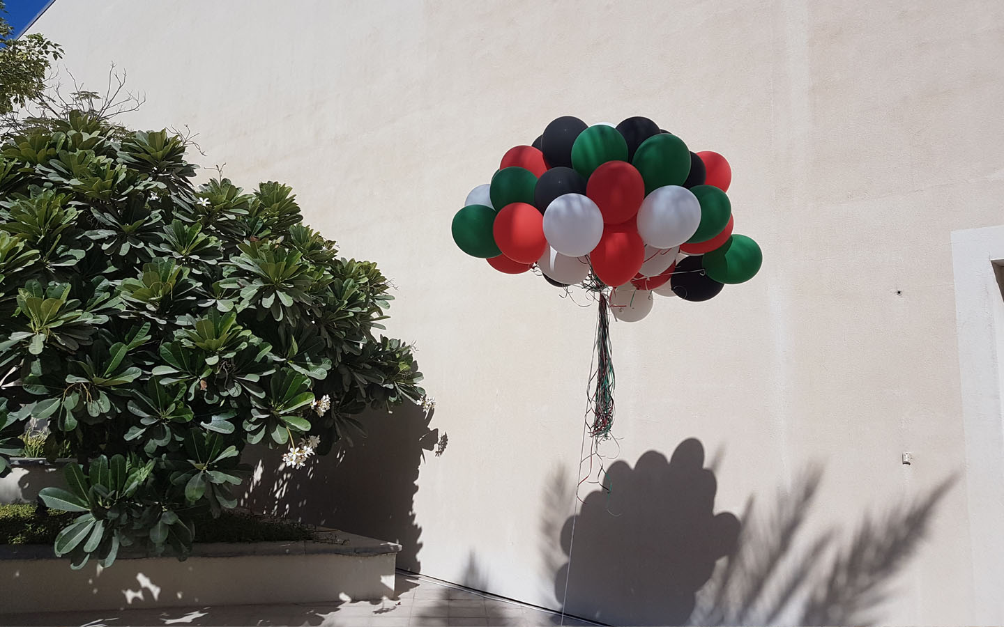 balloon decorations for UAE national day