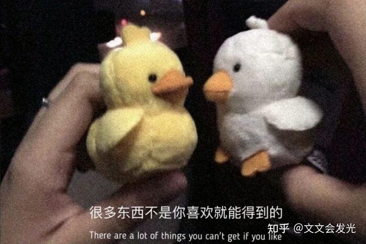 图片[1]-Có đoạn trích nào ngược tâm thể hiện sự thất vọng đối với một đoạn tình cảm thất bại không?-Weibo24h.com