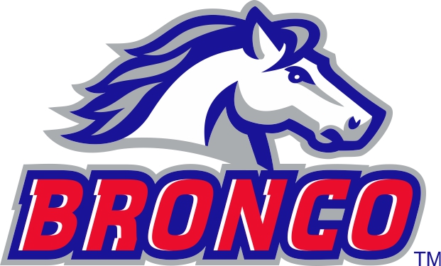 Bronco.jpg