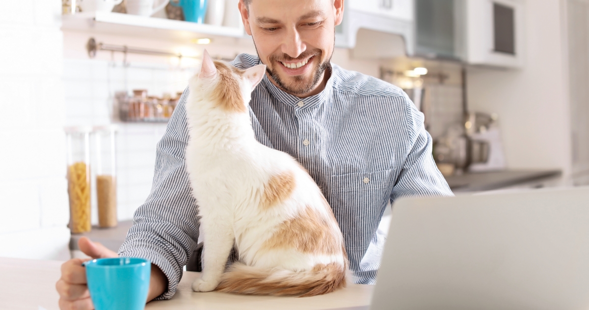 un chat discute avec son humain