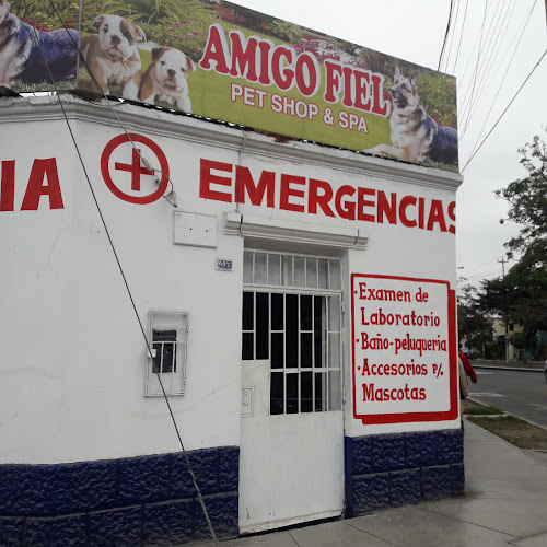 Opiniones de Veterinaria Mansiche en Trujillo - Veterinario