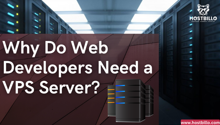 Why Do Web Developers Need a VPS Server?