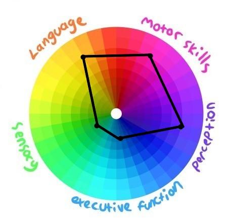 Chart, radar chart Description automatically generated