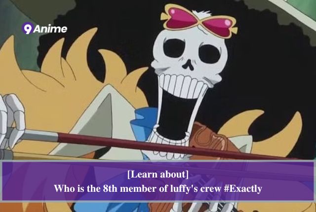 Overview of the 8th member of luffy’s crew