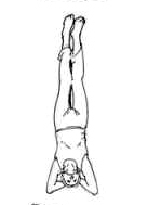 sirsasana