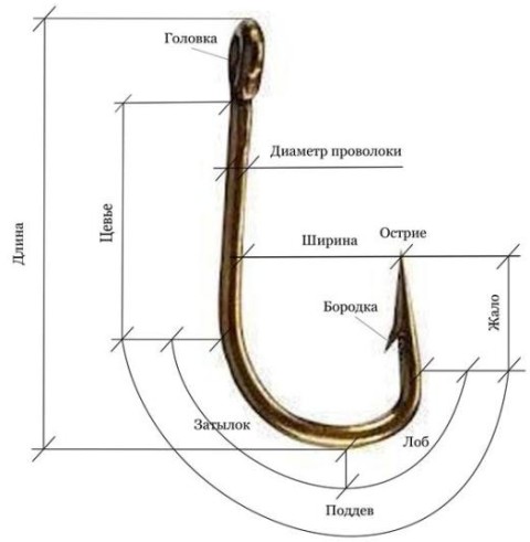 Как определить размер крючка для рыбалки по номеру с помощью простых советов