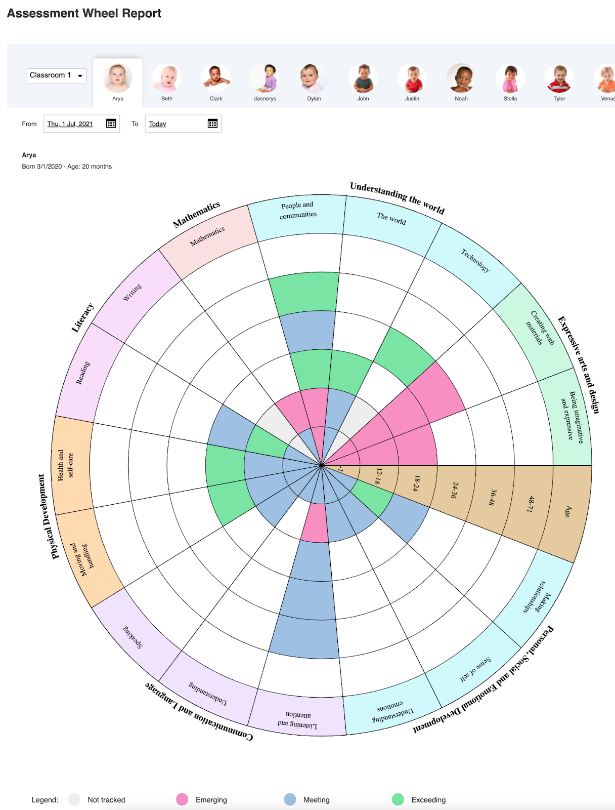 Assessment Wheel Report Screen