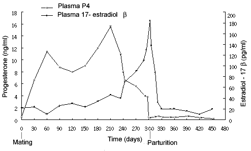 Estradiol-17b concentrations in plasma and during gestation and the periparturient period in yaks (n=8).