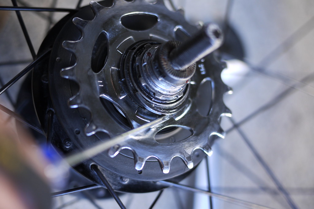 Shimano Alfine 8 Speed Hub Slipping: 4 Problems & Fixes