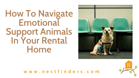 Emotional Support Animals In Your Rental Home