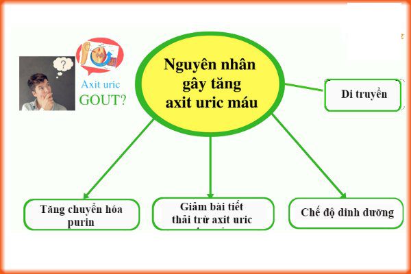 Nguyên nhân gây tăng acid uric