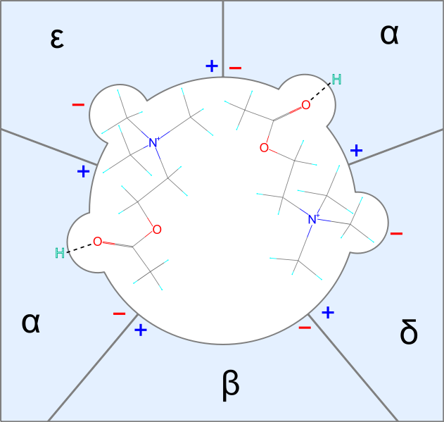 File:Acetylcholine nicotinic receptor binding.svg