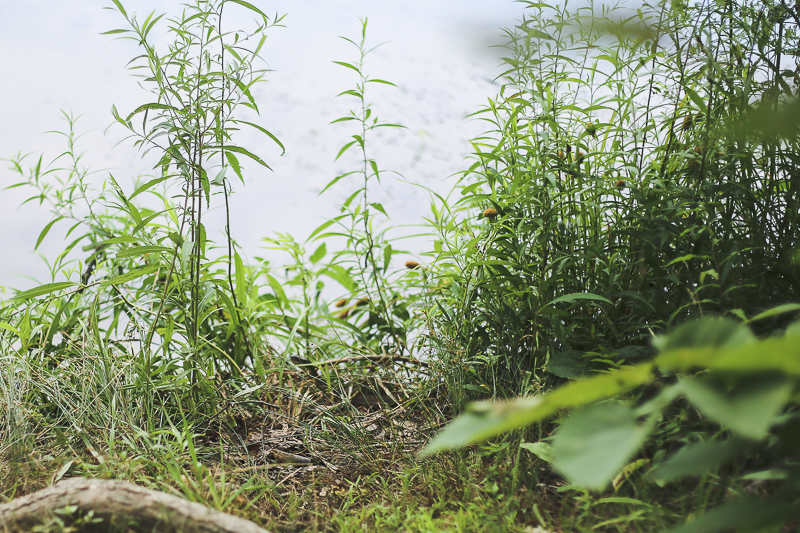 Tweefontein Herb Farm + Hiking in Mohonk Preserve