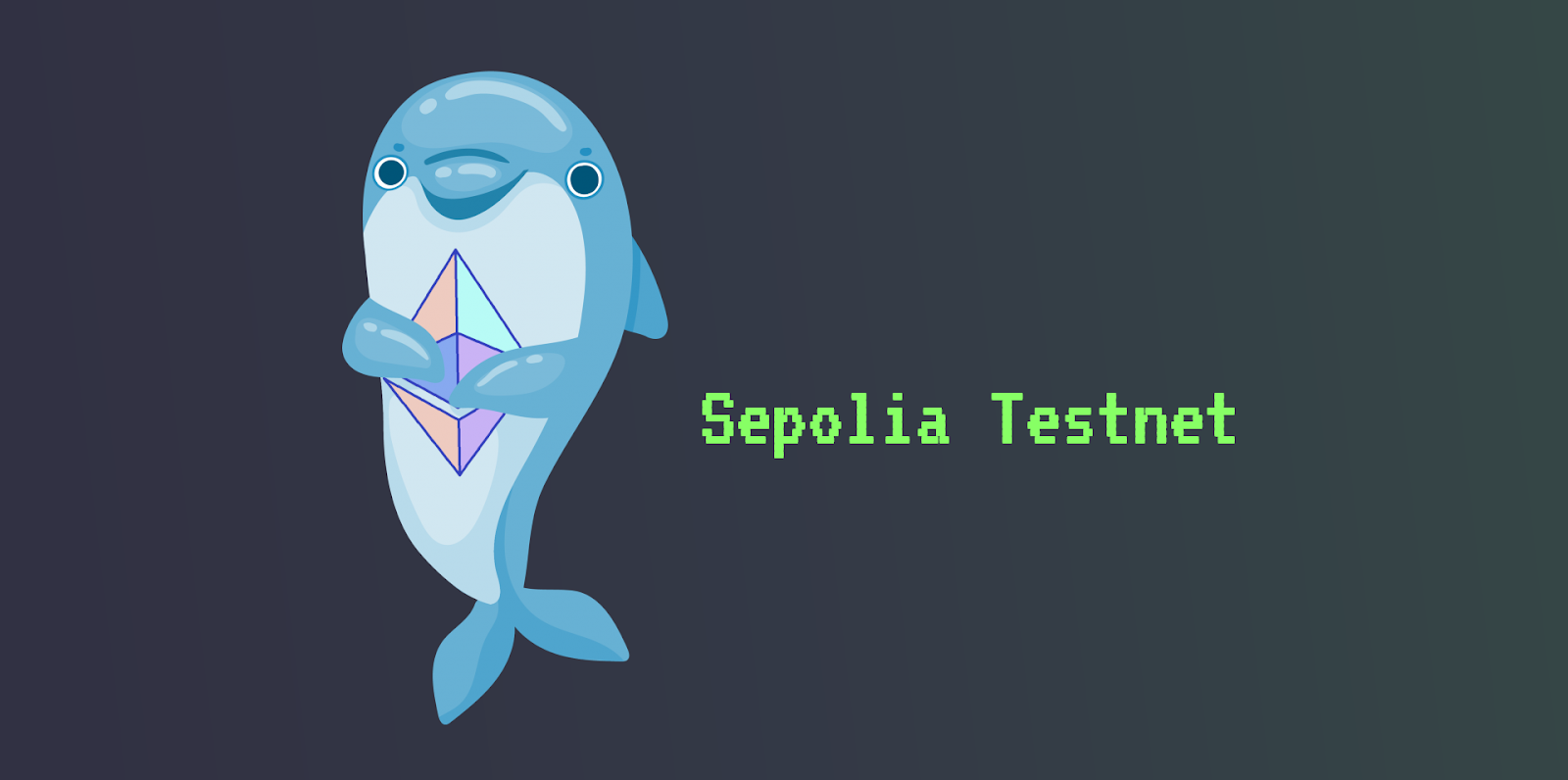 dolphin holding the eth symbol while looking at the title sepolia testnet