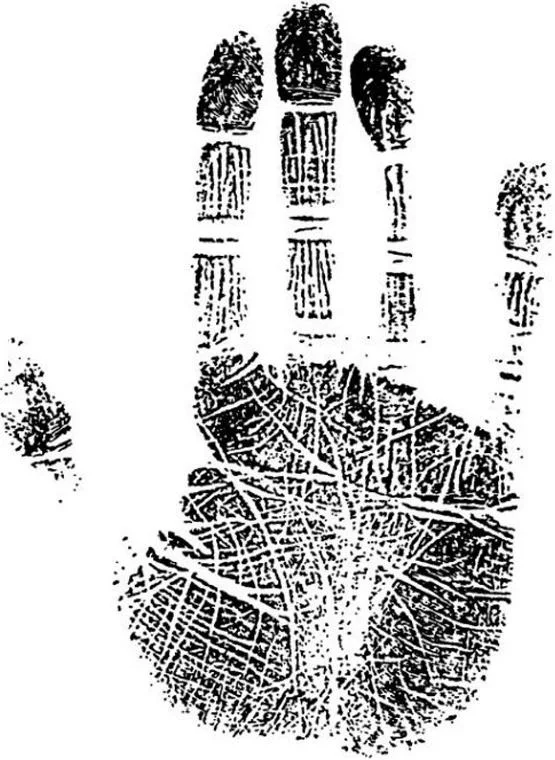 https://lh4.googleusercontent.com/C-tQWATXhiR6_EIw9q_FNk8TEWmYFRiyoHgJMRqCqrdy2K7pbH52yRKQR9H4tl49knC4RyvmeLrIMjgzP2UBopacRP-UNPsbHU8Ea0ZhnivQFykXcoFfd6BsXix82udzw-o2nbPMKRJFKwzEufzq0qzt-W_yIsTnA_68oOPD0kITPVhfYtMqXuzBPg9mUBiA_tkqb3kg3A