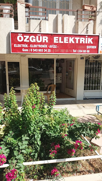 Özgür elektrik