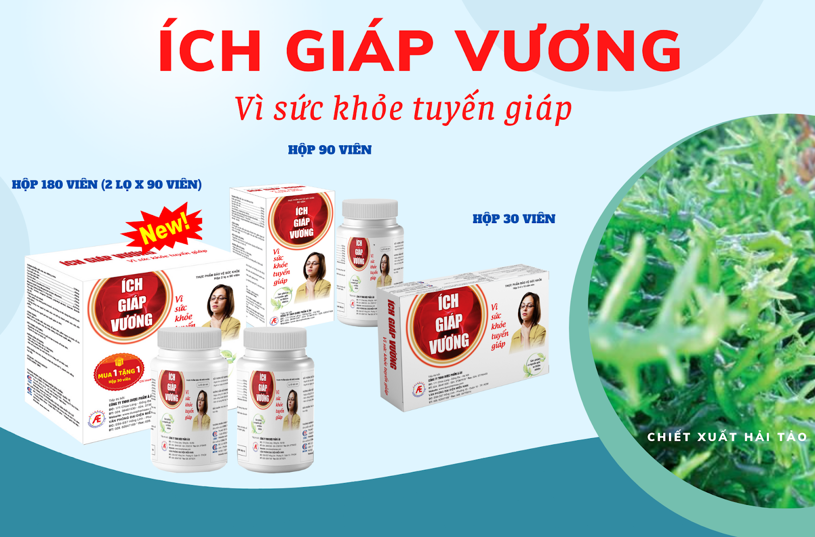 Ích Giáp Vương giúp hỗ trợ thu nhỏ và phòng ngừa nang tuyến giáp tái phát