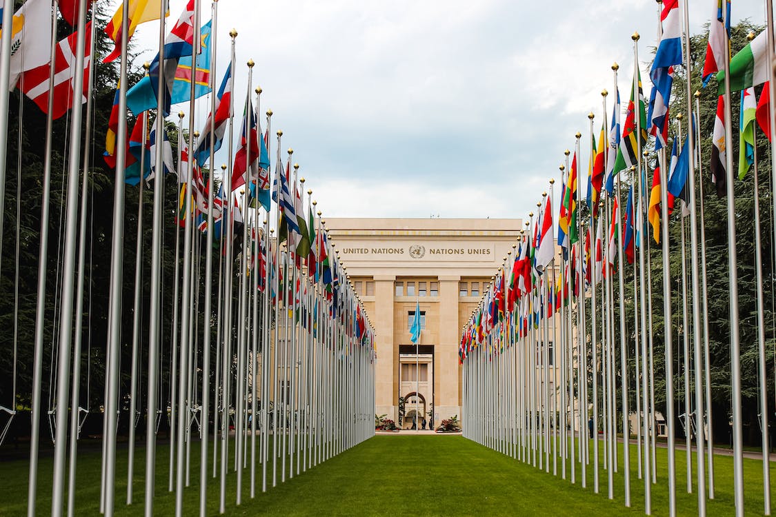 Free From below of various flags on flagpoles located in green park in front of entrance to the UN headquarters in Geneva Stock Photo