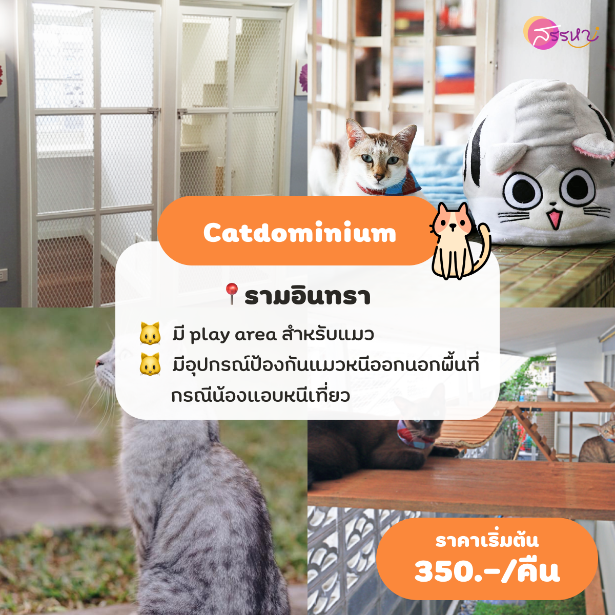 Catdominium