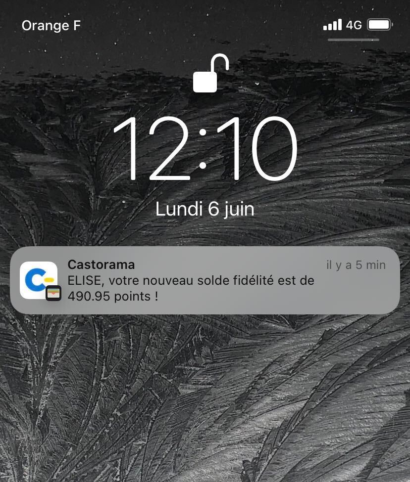 Notification wallet personnalisée Castorama