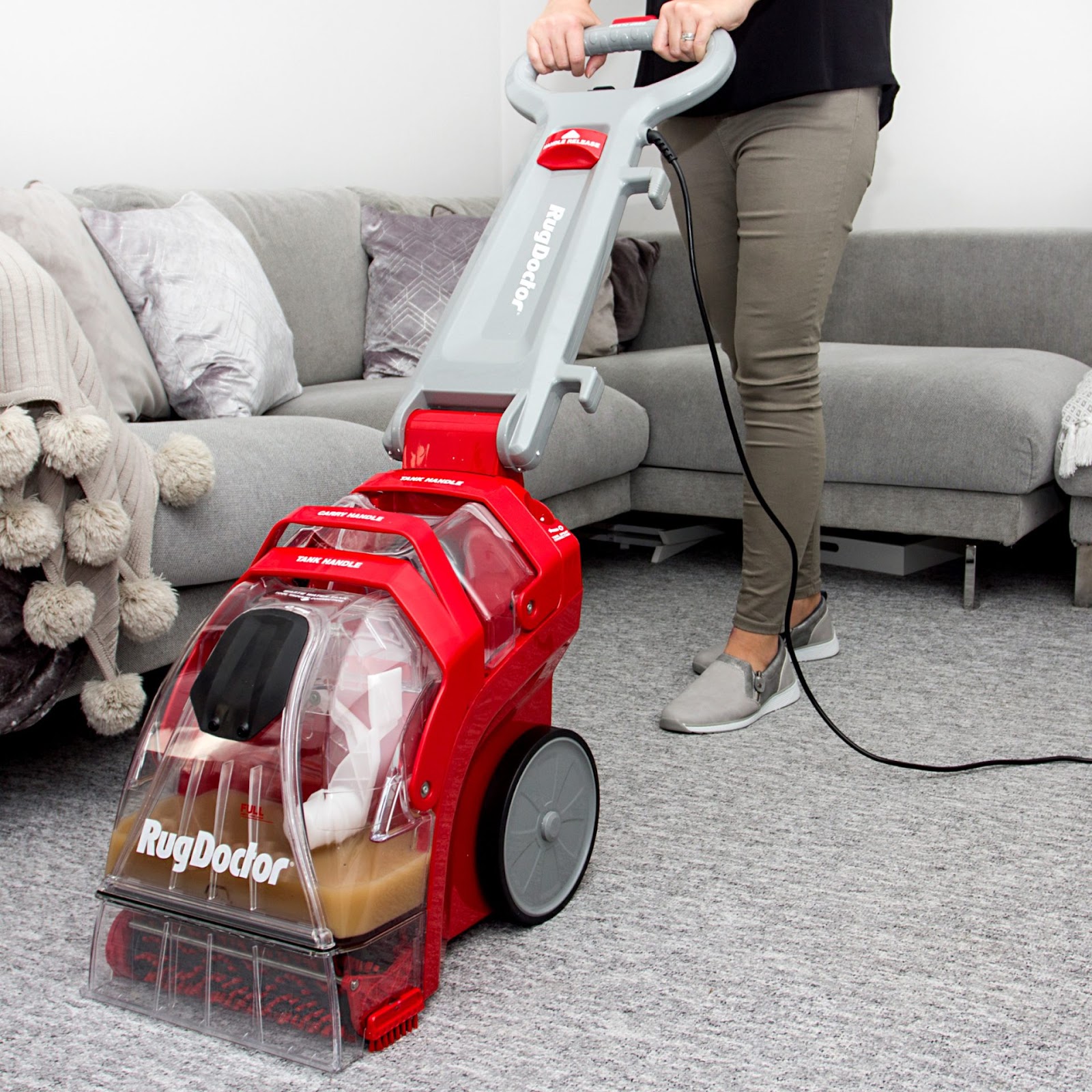 Carpet Cleaner: Overview