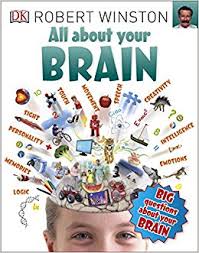 Image result for all about your brain