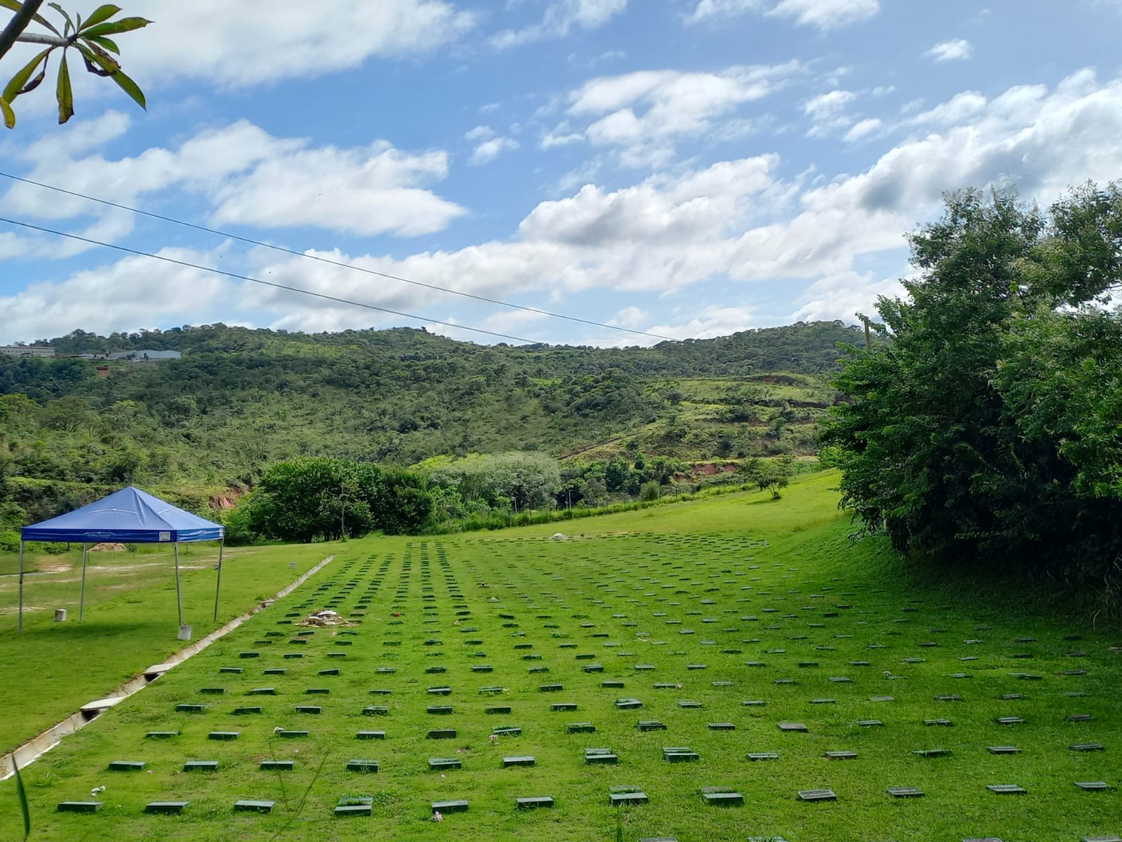 na imagem observamos vários jazigos do Terra Santa Cemitério Parque. O espaço é bem amplo e arborizado