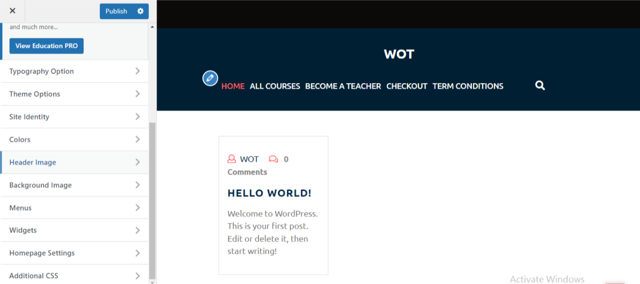 design a wordpress website by  customization
