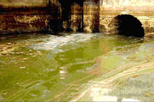 Image result for raw sewage