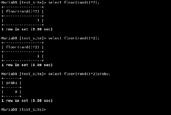 SQL Injection by Double Query | Securium Solutions 3