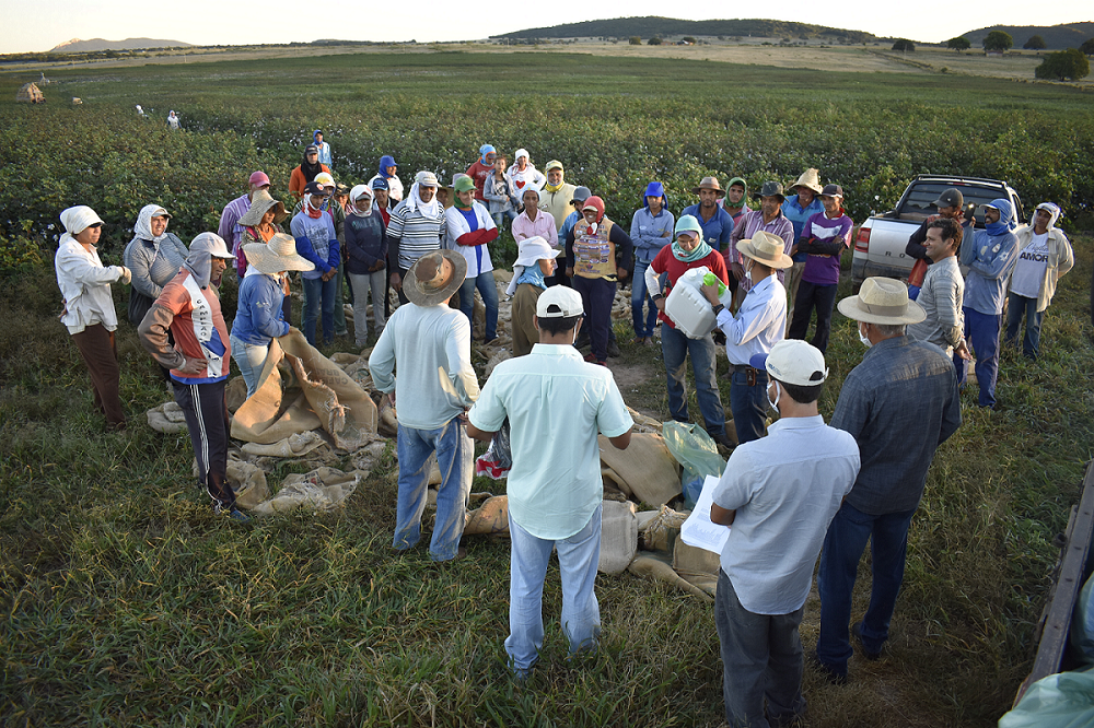 minas gerais brasil algodón entrega kits covid trabajadores