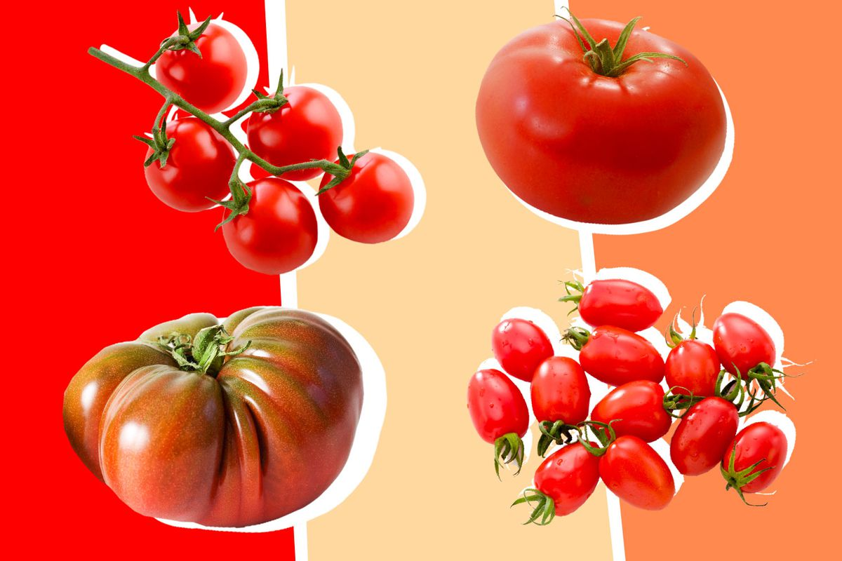 Do heirloom tomatoes taste better than hybrid tomatoes