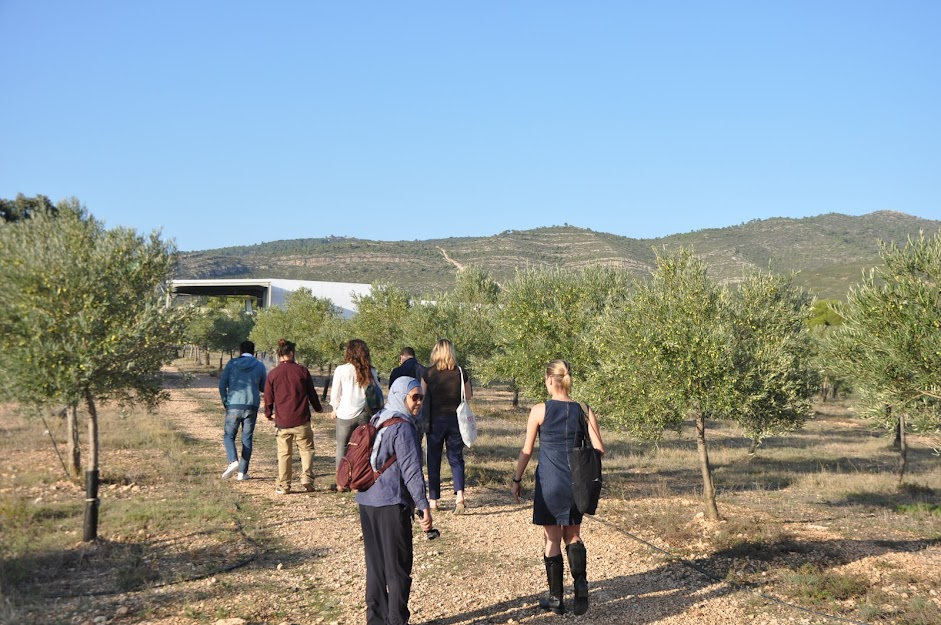ESAO students visiting the olive grove. ESAO Image Bank