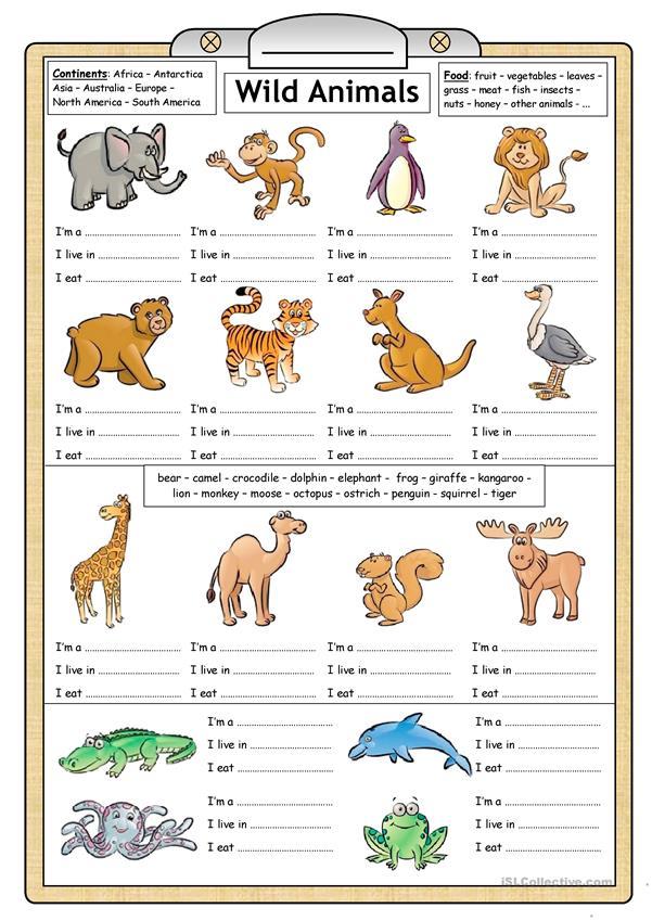 Wild Animals - Reading & Writing worksheet